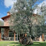 Herdan Gurme Kahvaltı / Edremit / BALIKESİR