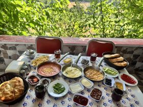 çakallı menemenci